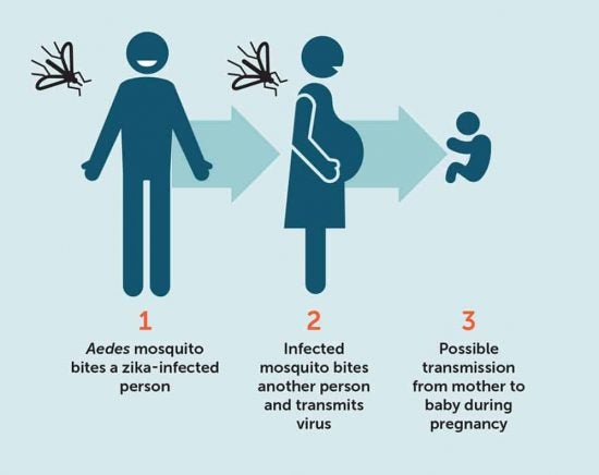 transmission of zika virus