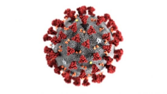 SARS-CoV 2 Viral Particle