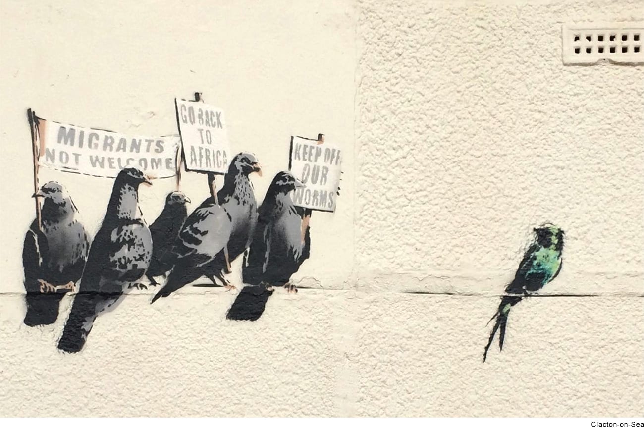 Banksy artwork depicting pigeons as protesting against immigration