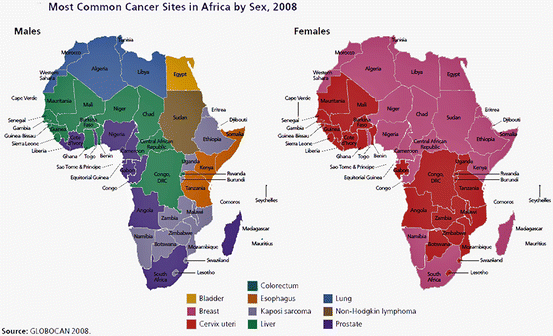 Figure on Cancer rate in Africa based on sex
