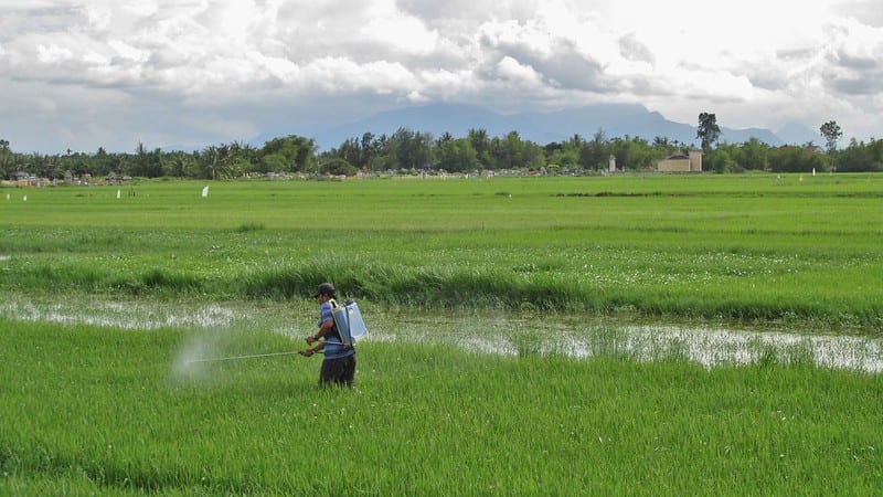 man spraying pesticide