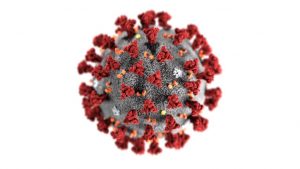 Corona virus Image