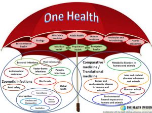 One Health Graphic