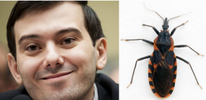 Martin Shkreli Right: A "kissing bug" (photo courtesy of Scienceline).