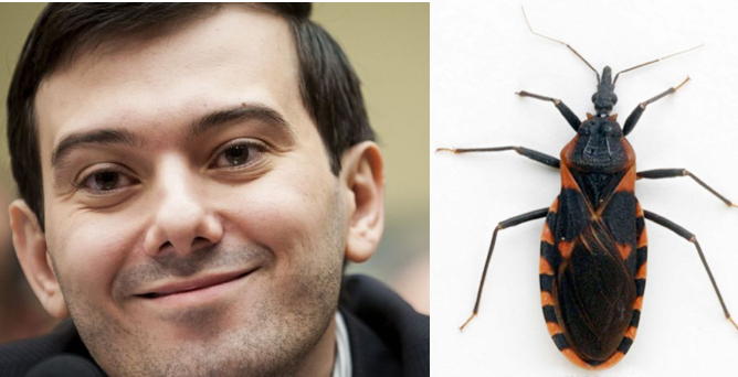 Martin Shkreli Right: A "kissing bug" (photo courtesy of Scienceline).