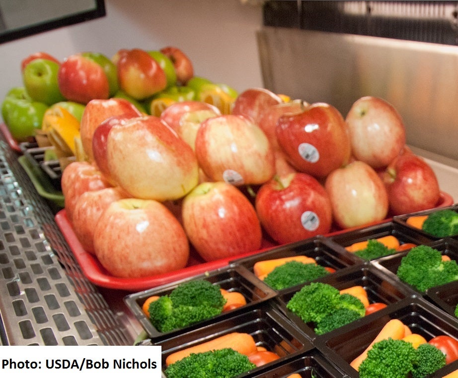 School lunch photo