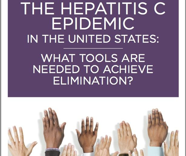 Hepatitis Policy Project Report Cover Page