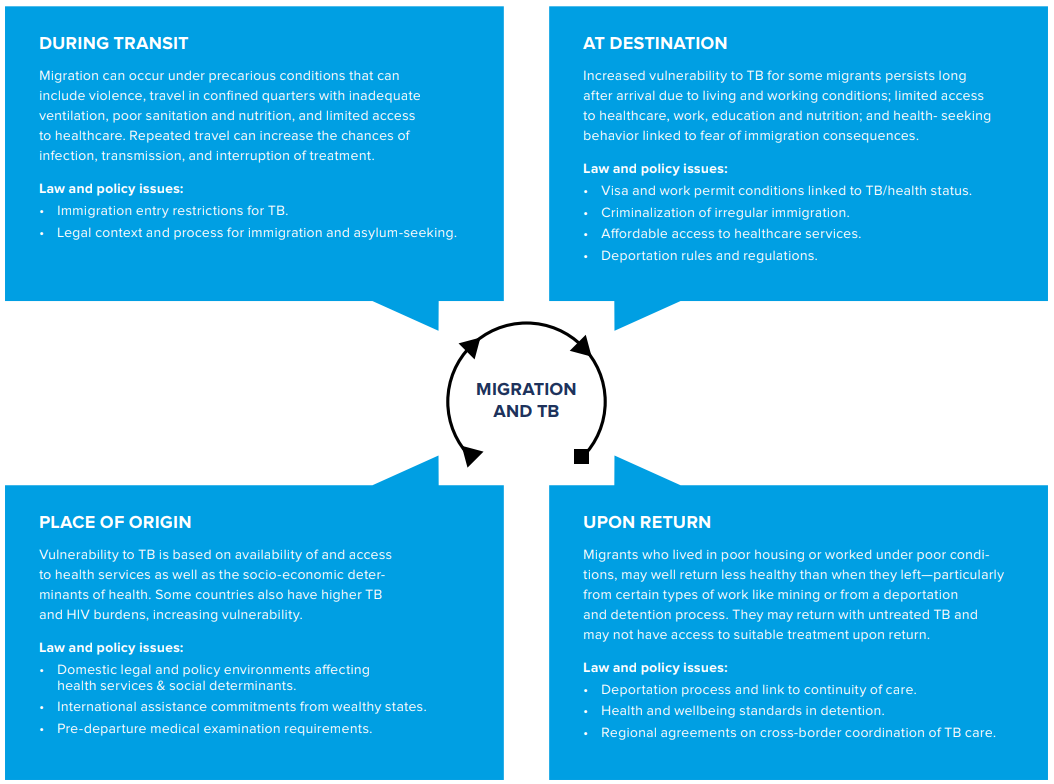 Image explaining the interaction between migration and TB