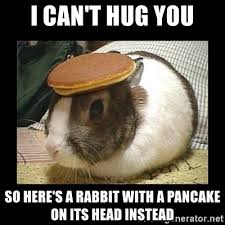 I can't hug you so here's a rabbit with a pancake on its head instead meme