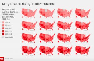 Drug death rates in all 50 states 