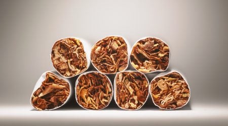 Tobacco Photo
